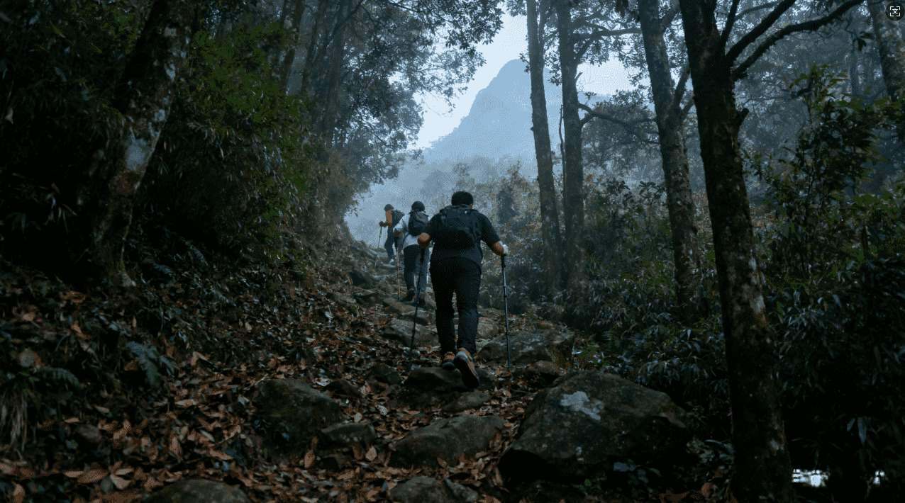 全面解析苹果手机免费飞机加速器最新免费资源与使用技巧